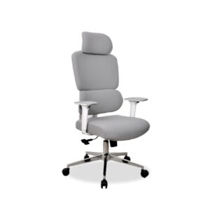 Premium Ergonomic Executive Office Chair