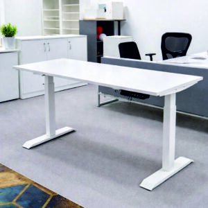 Electric Height Adjustable Desk Standing Desk