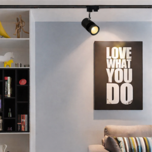 LumiFocus Adjustable Track Light