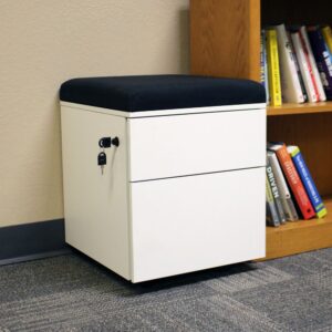 SecureComfort 2-Drawer Lockable Storage Pedestal